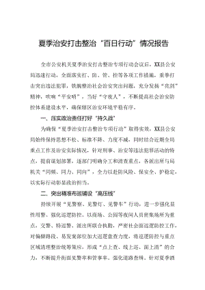 九篇2024年夏季治安打击整治专项行动工作总结.docx