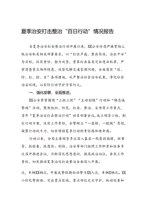 二十三篇2024年公安夏季治安打击整治行动情况报告精选范文.docx