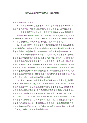 新入职总结报告怎么写(通用5篇).docx