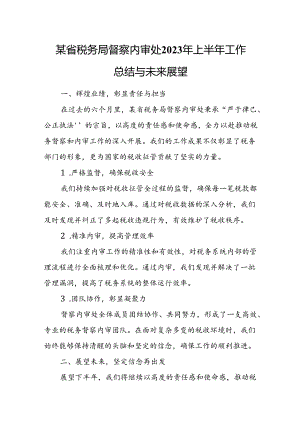 某省税务局督察内审处2023年上半年工作总结与未来展望.docx