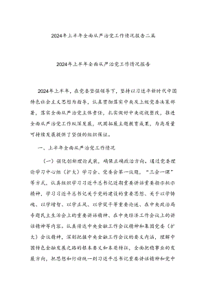2024年上半年全面从严治党工作情况报告二篇.docx