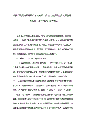 关于公司党支部开展红旗党支部、规范化建设示范党支部创建“回头看”工作自评的报告范文.docx