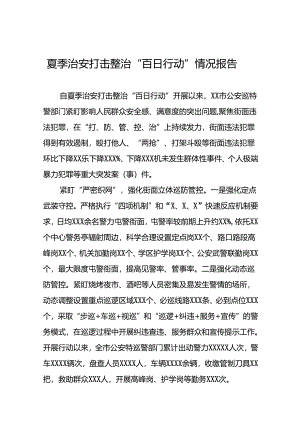 二十三篇公安推进夏季治安打击整治“百日行动”总结.docx