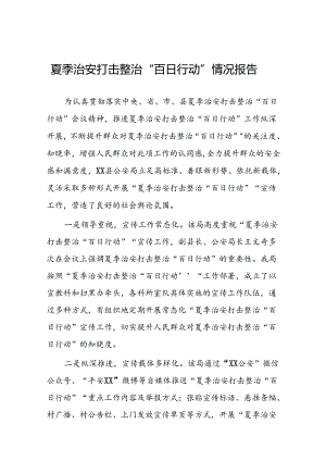 2024年公安开展夏季治安打击整治”百日行动工作总结二十一篇.docx