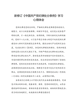 学习2024新修订《中国共产党纪律处分条例》学习心得体会交流发言二十七篇.docx