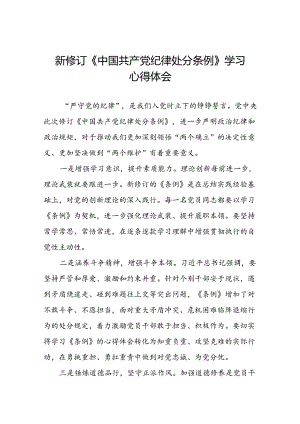《2024新修订中国共产党纪律处分条例》学习感悟十篇.docx