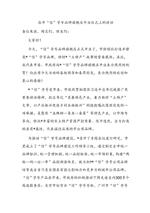 在市“信”字号品牌旗舰店开业仪式上的讲话.docx