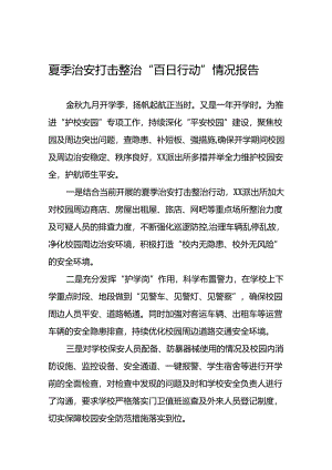 九篇2024年夏季治安打击整治“百日行动”总结汇报.docx
