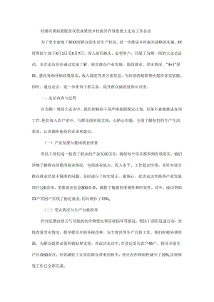 村级巩固拓展脱贫攻坚成果暨乡村振兴有效衔接大走访工作总结.docx