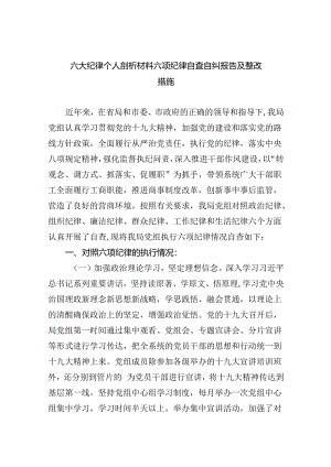 (11篇)六大纪律个人剖析材料六项纪律自查自纠报告及整改措施（详细版）.docx