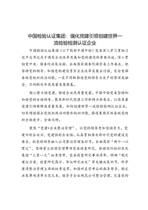 中国检验认证集团：强化党建引领创建世界一流检验检测认证企业.docx