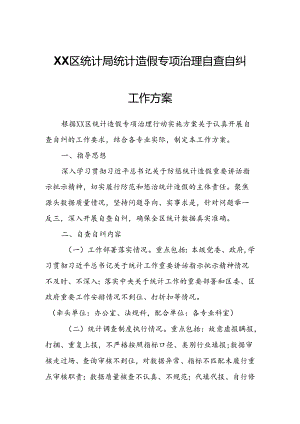 XX区统计局统计造假专项治理自查自纠工作方案.docx