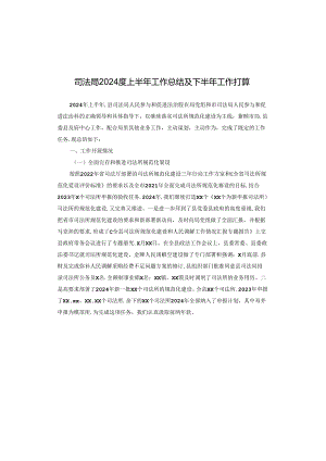 司法局2024度上半年工作总结及下半年工作打算.docx