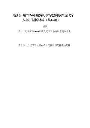 组织开展2024年度党纪学习教育以案促改个人剖析剖析材料十六篇精选.docx