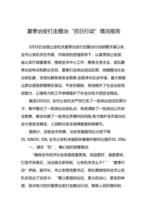 2024年公安机关夏季治安打击整治行动情况报告(24篇).docx