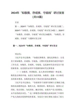 （11篇）2024年“知敬畏、存戒惧、守底线”研讨发言优选.docx