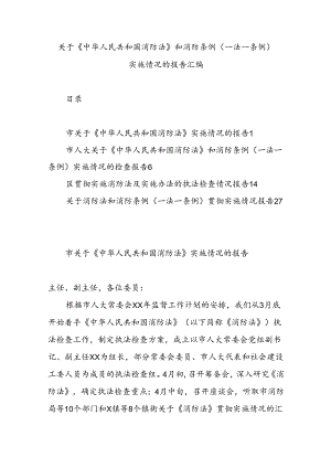 关于《中华人民共和国消防法》和消防条例（一法一条例）实施情况的报告汇编.docx