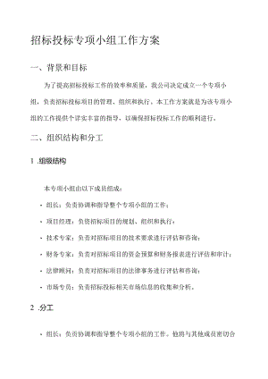 招标投标专项小组工作方案.docx