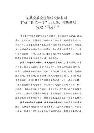 某某党委党建经验交流材料：打好“四位一体”组合拳推进基层党建“四提升”.docx