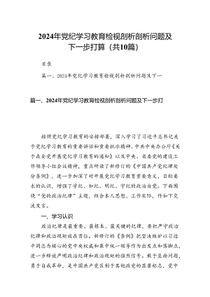 （10篇）2024年党纪学习教育检视剖析剖析问题及下一步打算（详细版）.docx