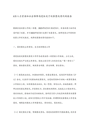 X区人力资源和社会保障局党组关于巡察整改情况的报告.docx