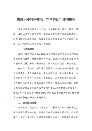 公安2024夏季治安打击整治“百日行动”总结报告20篇.docx