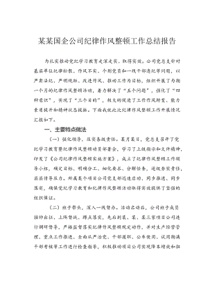 某某国企公司纪律作风整顿工作总结报告.docx