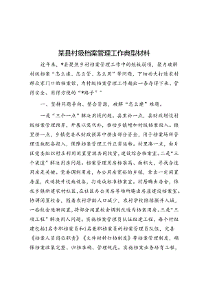 某县村级档案管理工作典型材料.docx