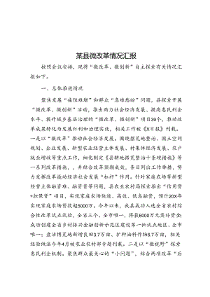 某县微改革情况汇报.docx