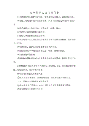 安全负责人岗位责任制.docx