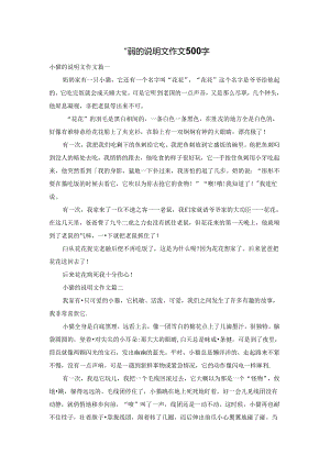 小猫的说明文作文500字.docx
