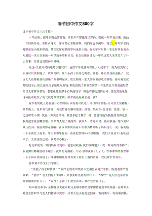 春节初中作文800字.docx