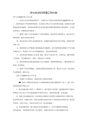 护士长2023年度工作计划.docx