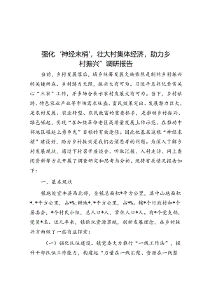 强化‘神经末梢’壮大村集体经济助力乡村振兴”调研报告.docx