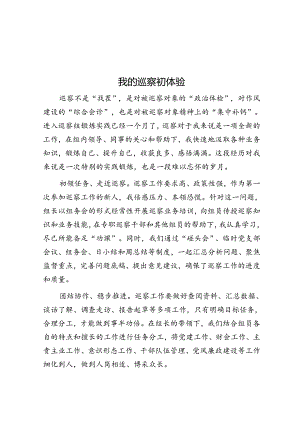 我的巡察初体验.docx