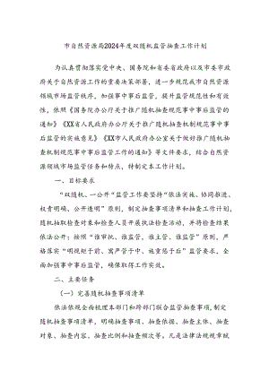 市自然资源局2024年度双随机监管抽查工作计划.docx