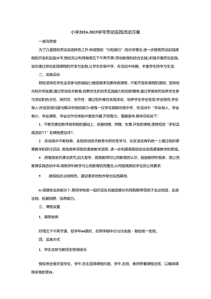 小学2024-2025学年劳动实践活动方案.docx
