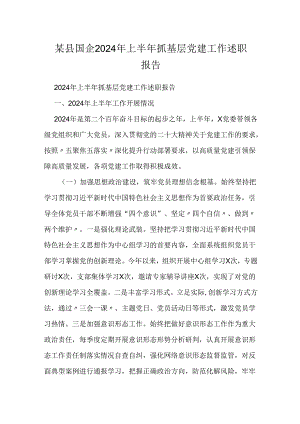 某县国企2024年上半年抓基层党建工作述职报告.docx