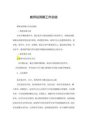 教师试用期工作总结.docx