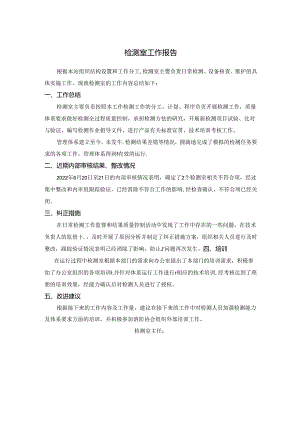 检测室工作报告.docx
