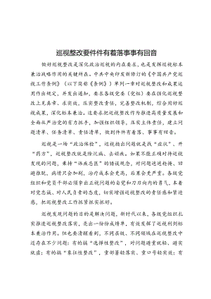 巡视整改要件件有着落事事有回音.docx