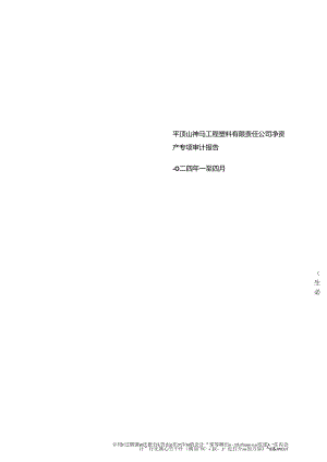 平顶山神马工程塑料有限责任公司净资产专项审计报告2024年1-4月.docx