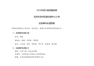 建设小学2024年四川省质量抽测应急预案.docx