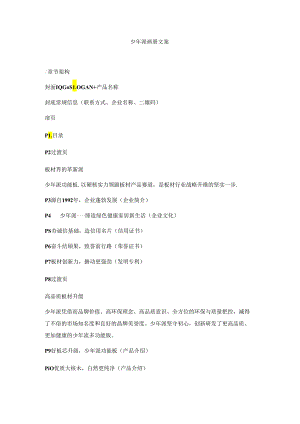 少年派画册文案.docx
