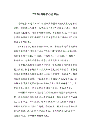 青年节心得和体会.docx