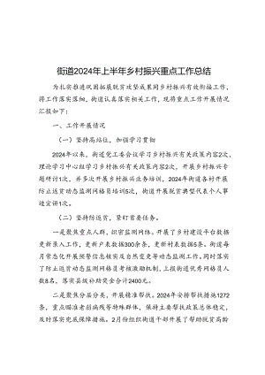 街道2024年上半年乡村振兴重点工作总结.docx
