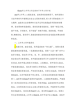 镇2024年上半年工作总结和下半年工作计划.docx