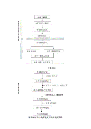 职业院校及社会招聘员工职业培养流程图.docx