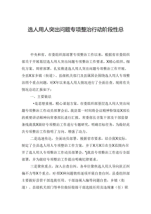 选人用人突出问题专项整治行动阶段性总结.docx