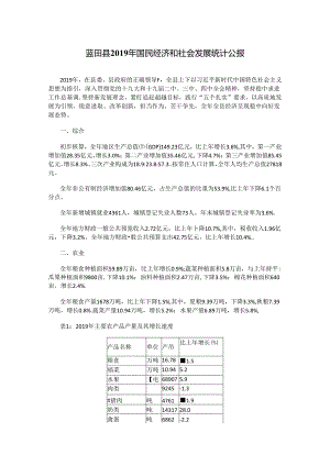 蓝田县2019年国民经济和社会发展统计公报.docx